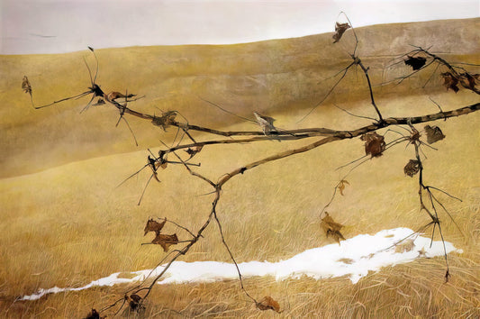 Jamie Wyeth & Andrew Wyeth: A Father-Son Legacy in American Realism - LONG LIMB by Andrew Wyeth