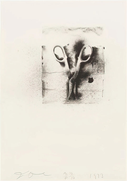 Jim Dine Flowers: The Poetic Obsession of an American Master - UNTITLED FROM TEN WINTER TOOLS 1973 2 by Jim Dine