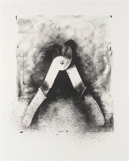 Jim Dine Tools Artwork: The Poetic Still Life of Everyday Objects - UNTITLED FROM TEN WINTER TOOLS 1973 7 by Jim Dine