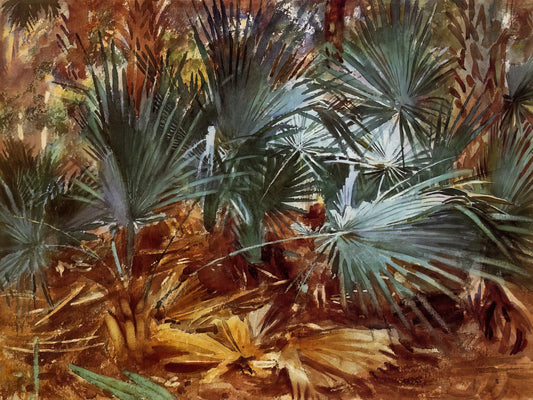 John Singer Sargent's Carnation, Lily, Lily, Rose: A Masterpiece of Light and Atmosphere - Palmettos by John Singer Sargent