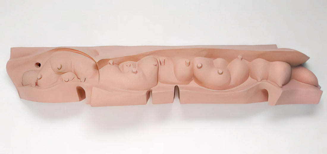 Le Regard Louise Bourgeois: Decoding the Artist's Penetrating Gaze - MAMELLES 1991 by Louise Bourgeois