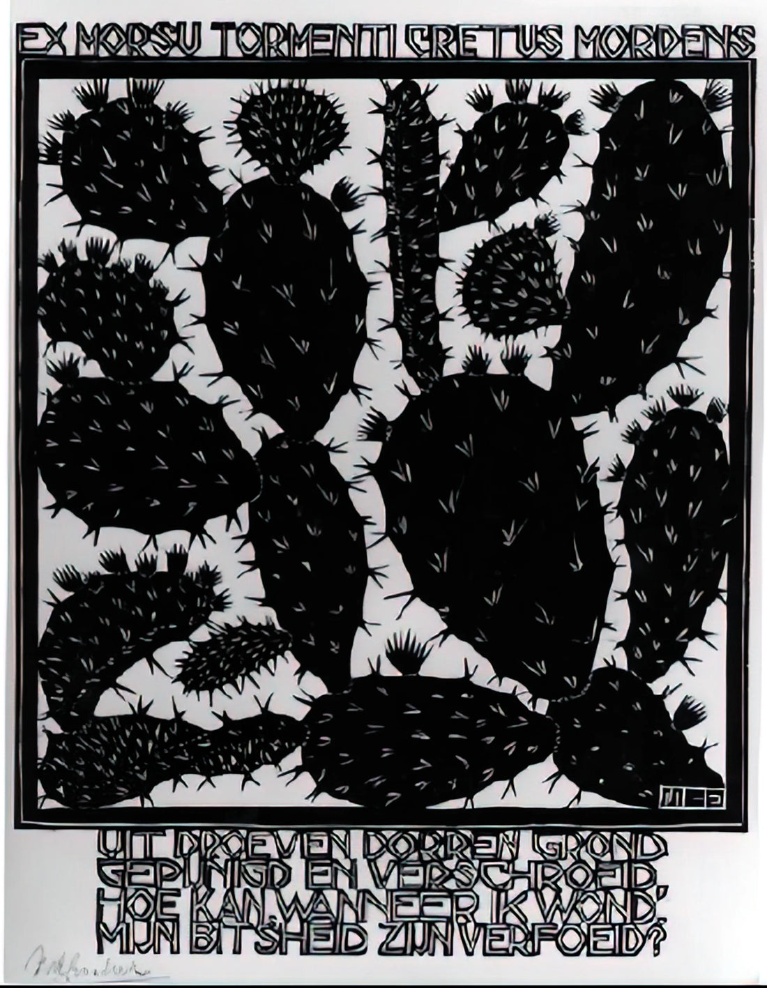 M.C. Escher Images: A Journey into the Mind of a Master of Illusion - EMBLEMATA CACTUS by MC Escher