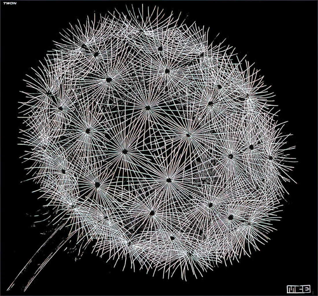 M.C. Escher Original Art: The Mind-Bending Legacy of a Graphic Genius - BLOWBALL II by MC Escher