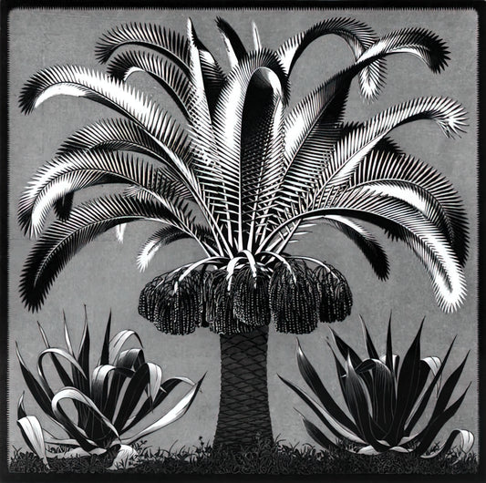 M.C. Escher Original Prints: A Collector's Guide to Authenticity, Value, and Legacy - PALM by MC Escher