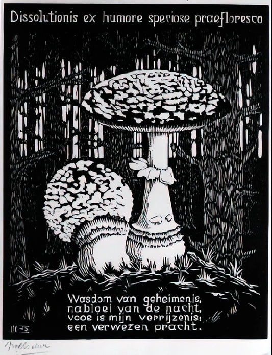 M.C. Escher: The Master of Mathematical Art and Optical Illusions - EMBLEMATA TOADSTOOL by MC Escher