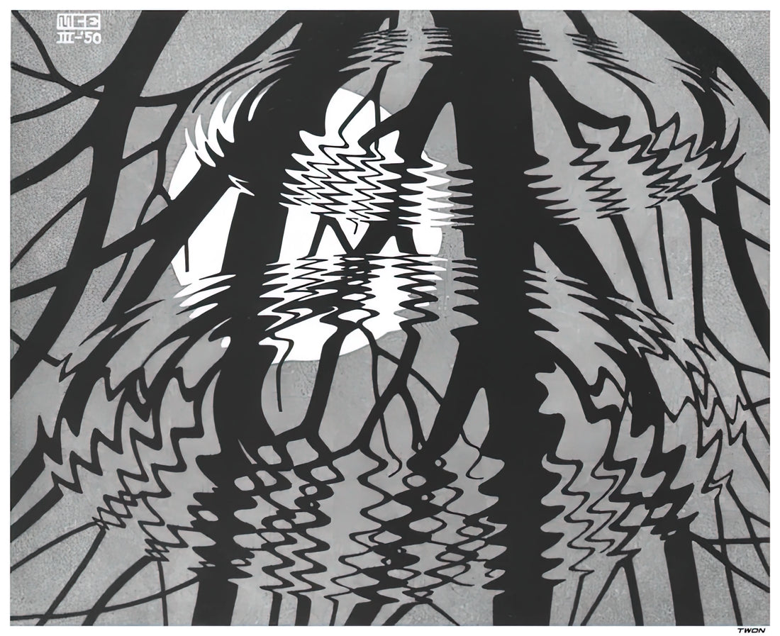 MC Escher Color Prints: A Journey Through Mathematical Art and Visual Illusion - RIPPLED SURFACE by MC Escher