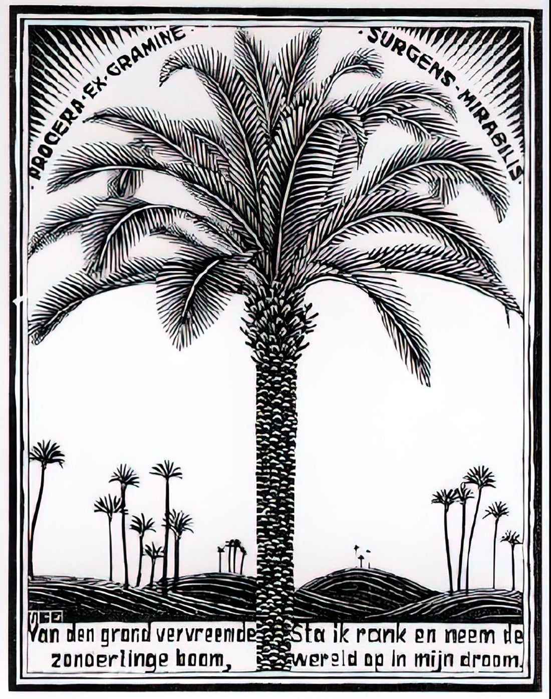 MC Escher Original Prints for Sale: A Collector's Guide to Authentic Works - PALM TREE 1 by MC Escher