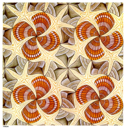 Mathematical Lithographs: The Enduring Genius of M.C. Escher - SHELLS AND STARFISH by MC Escher