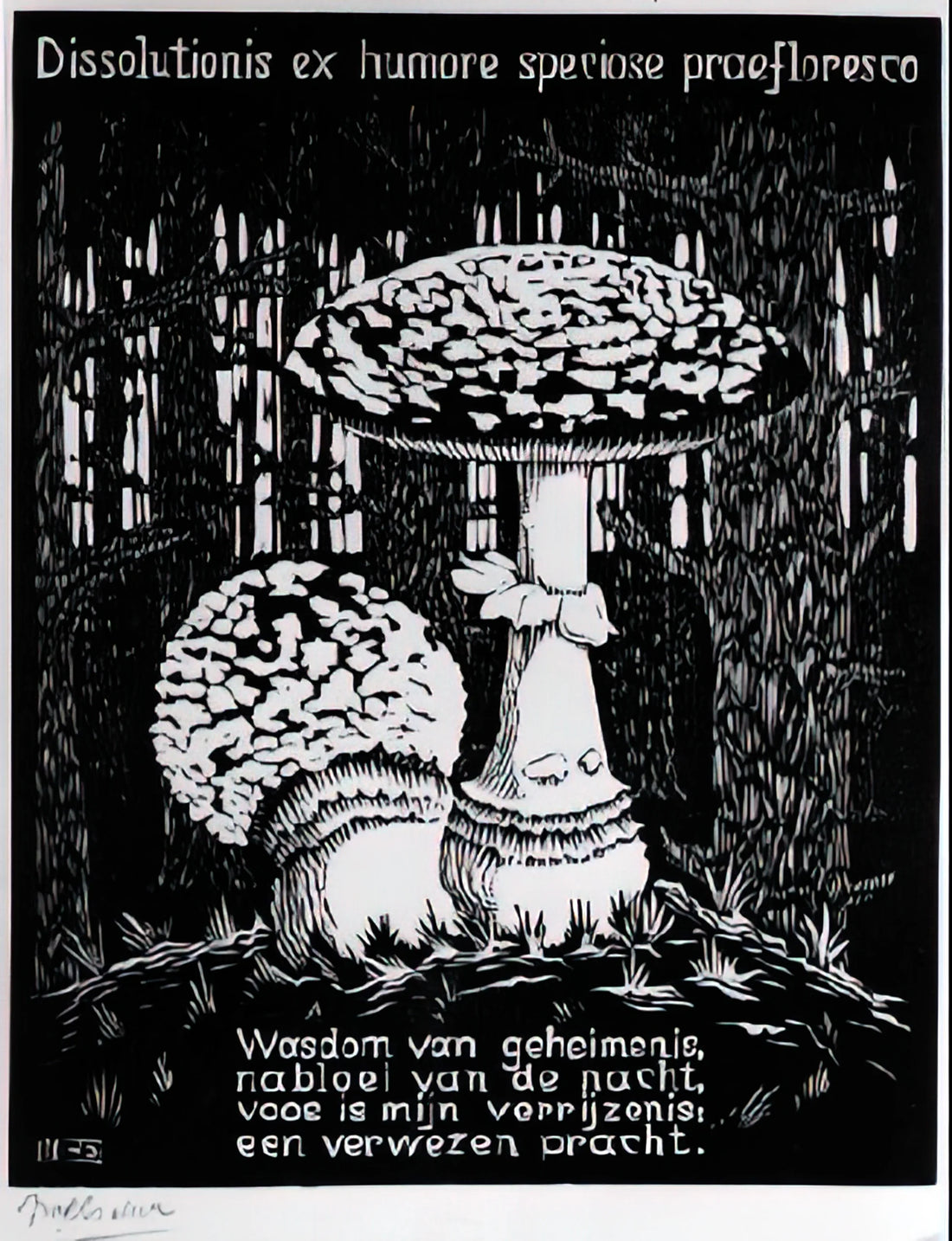 Maurits Cornelis Escher Puddle: Exploring the Master's Reflection on Reality - EMBLEMATA TOADSTOOL by MC Escher
