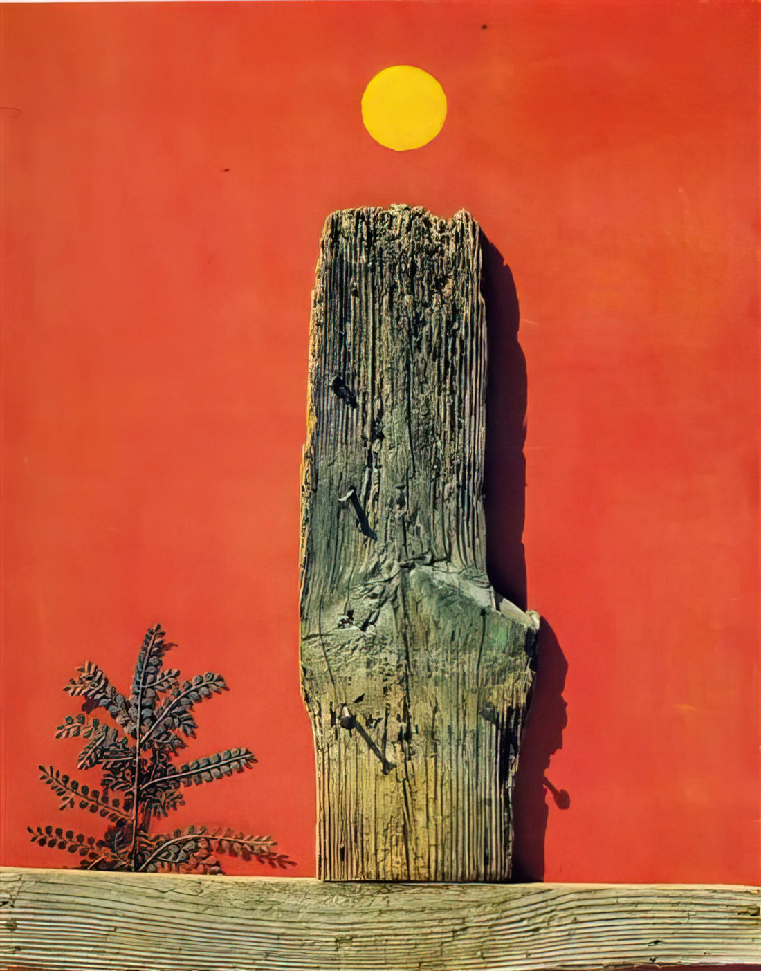 Max Ernst Collages: The Surrealist Revolution in Paper and Image - Red Forest by Max Ernst