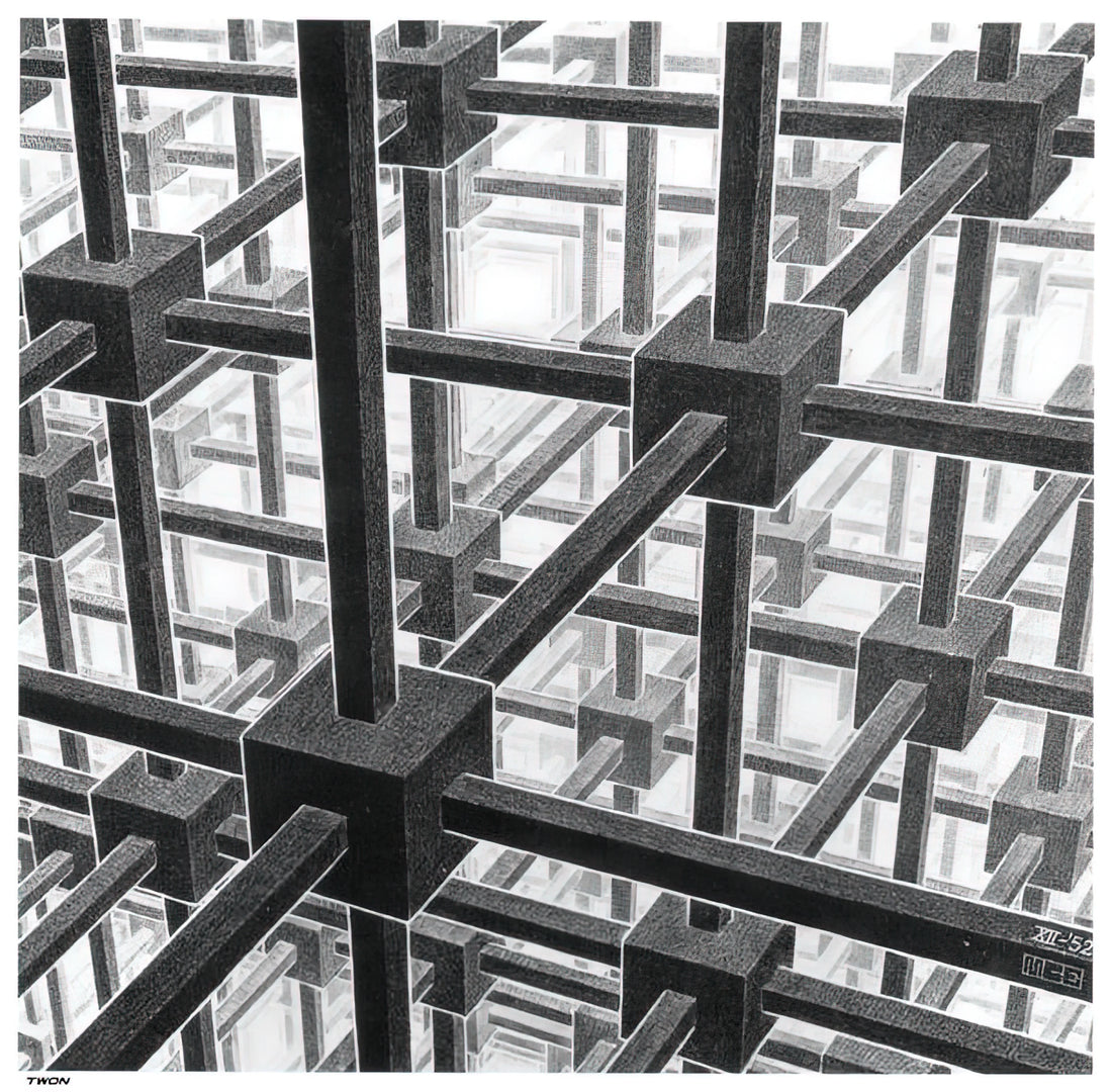 Michael Sachs and M.C. Escher: A Collector's Guide to Visionary Art Prints - CUBIC SPACE DIVISION by MC Escher