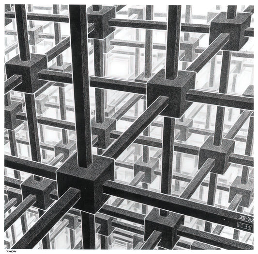 Michael Sachs and M.C. Escher: A Collector's Guide to Visionary Art Prints - CUBIC SPACE DIVISION by MC Escher