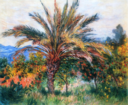 Monet Water Lilies Price Guide: Understanding Value, Prints & Investment - Palm Tree at Bordighera by claude monet