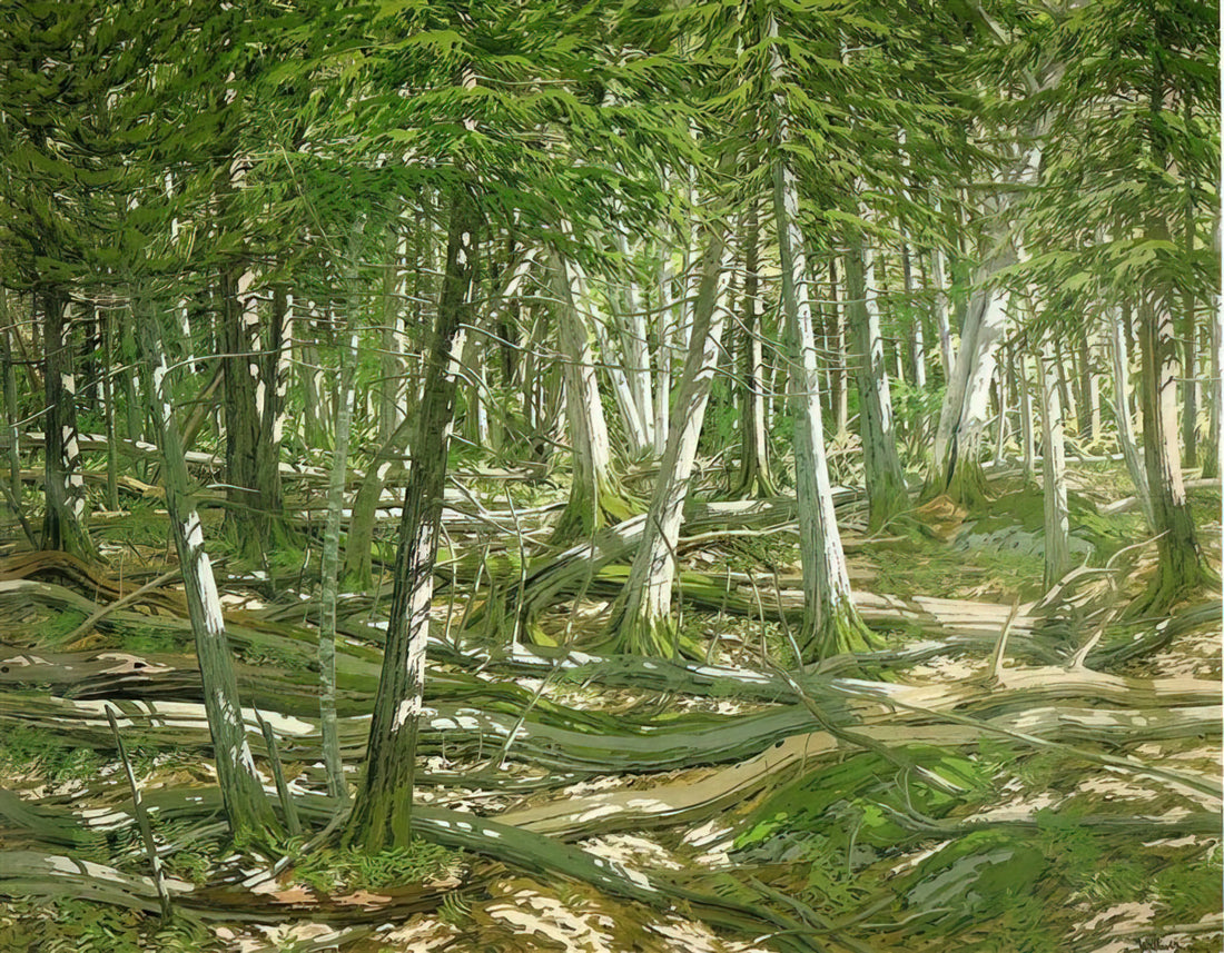 Neil Welliver Acrylic Print: The Legacy of Contemporary Realism in Fine Art Reproduction - Old Windfall - 1982 by Neil Welliver