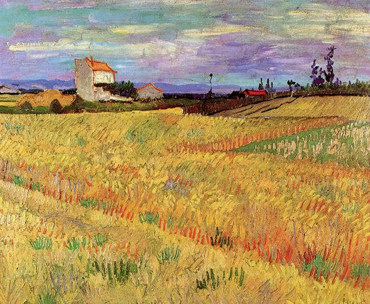 Paul Gauguin and Vincent van Gogh: The Tumultuous Friendship That Changed Modern Art - Wheat Field by Vincent van Gogh