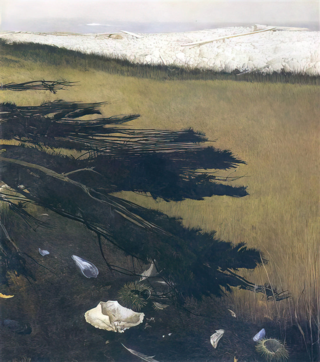 Pictures of Andrew Wyeth Paintings: A Curator's Guide to His Iconic Works - NOT DETECTED 47 by Andrew Wyeth