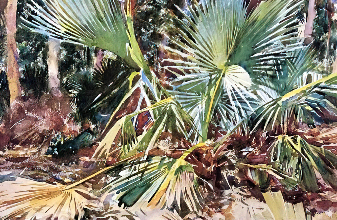 Richard Ormond: The Definitive Authority on John Singer Sargent's Legacy - Palmettos, Florida by John Singer Sargent