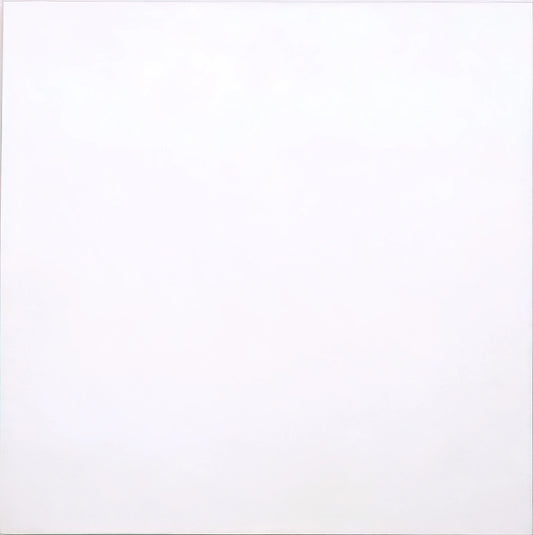 Robert Rauschenberg Photography: The Combines, Transfers, and Radical Vision - WHITE PAINTING 1951 by Robert Rauschenberg