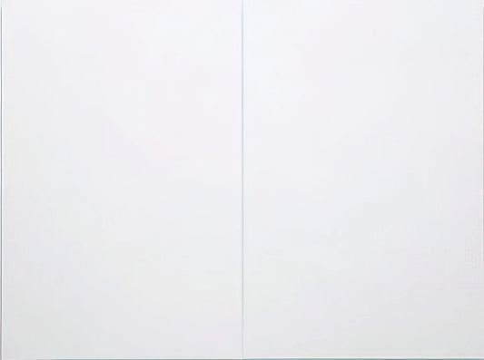 Robert Rauschenberg Prints for Sale: A Collector's Guide to the Combines Master's Graphic Work - WHITE PAINTING TWO PANEL 1951 by Robert Rauschenberg
