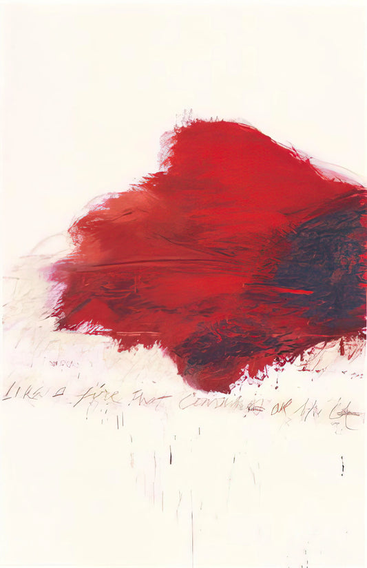 Sally Mann Remembered Light: An Intimate Exploration of Memory, Mortality, and Southern Gothic Photography - Fifty Days at Iliam. The Fire that Consumes All before It by Cy Twombly