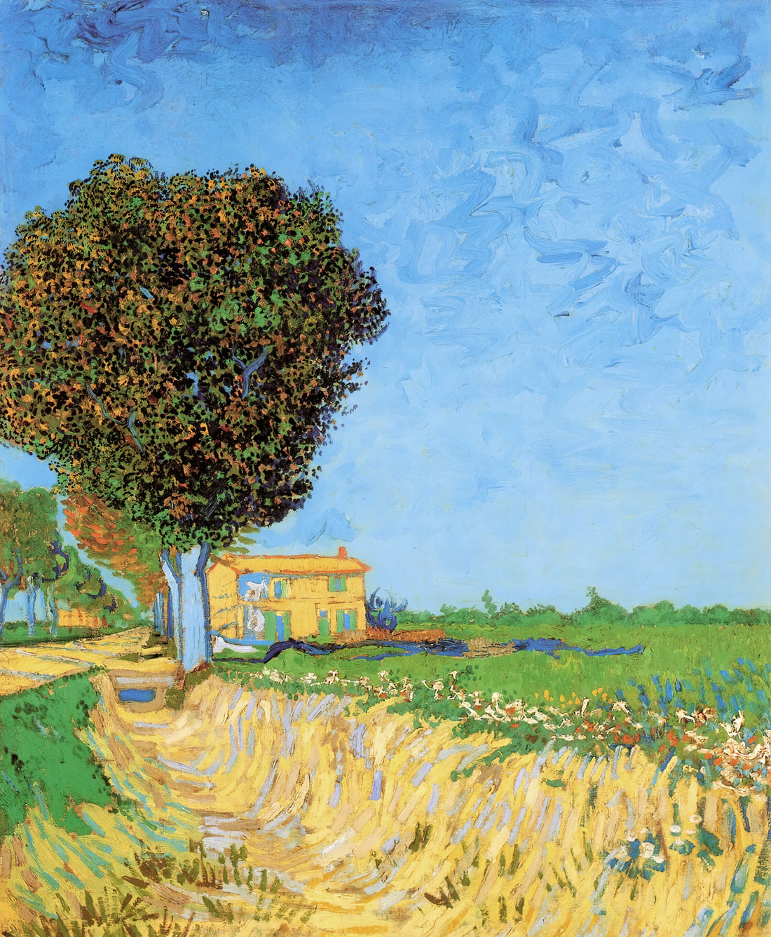 Starry Night Framed Canvas: A Curator's Guide to Van Gogh's Masterpiece in Your Home - A Lane near Arles by Vincent van Gogh