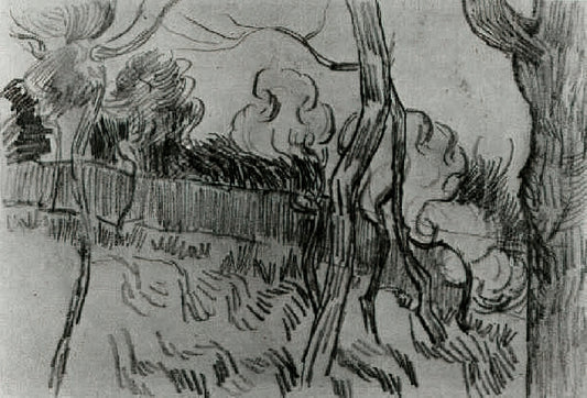 The Enduring Brilliance of Oil Van Gogh: A Deep Dive into His Artistic Legacy - Pine Trees Seen against the Wall of the Asylum by Vincent van Gogh