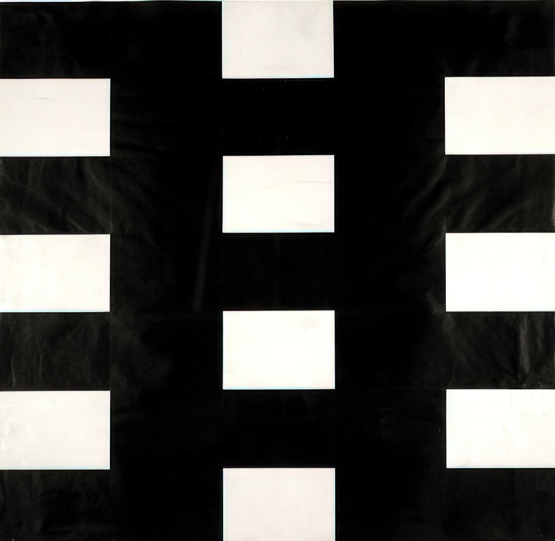 The Luminous Logic of Ellsworth Kelly's Spectrum Series - White and Black by Ellsworth Kelly