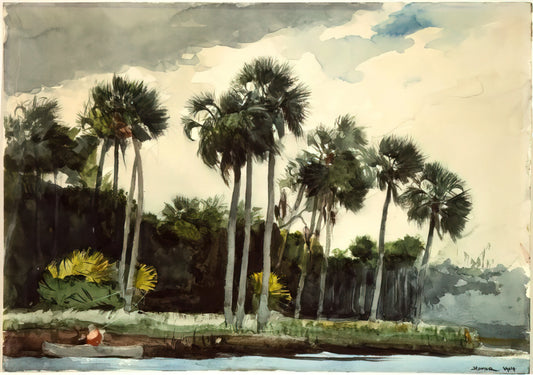 The Turtle Pond by Winslow Homer: An Intimate Study of Nature and Light - THE TURKEY BUZZARD by Winslow Homer