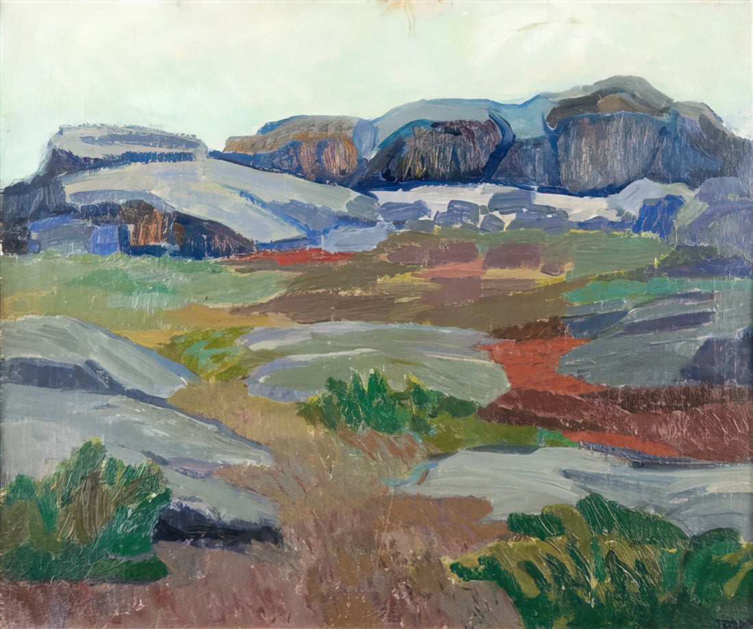 Tove Jansson Sommerbuch: The Artistic Summer World of a Nordic Icon - View from Pellinge - Expressionism by Tove Jansson
