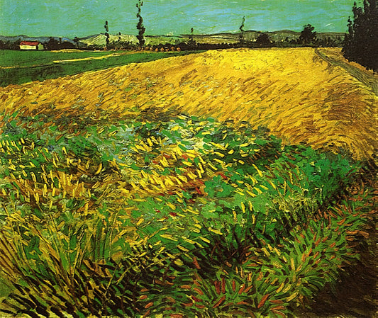 Tree Roots by Vincent van Gogh: The Final Masterpiece's Print Legacy - Wheat Field with the Alpilles Foothills in the Background by Vincent van Gogh