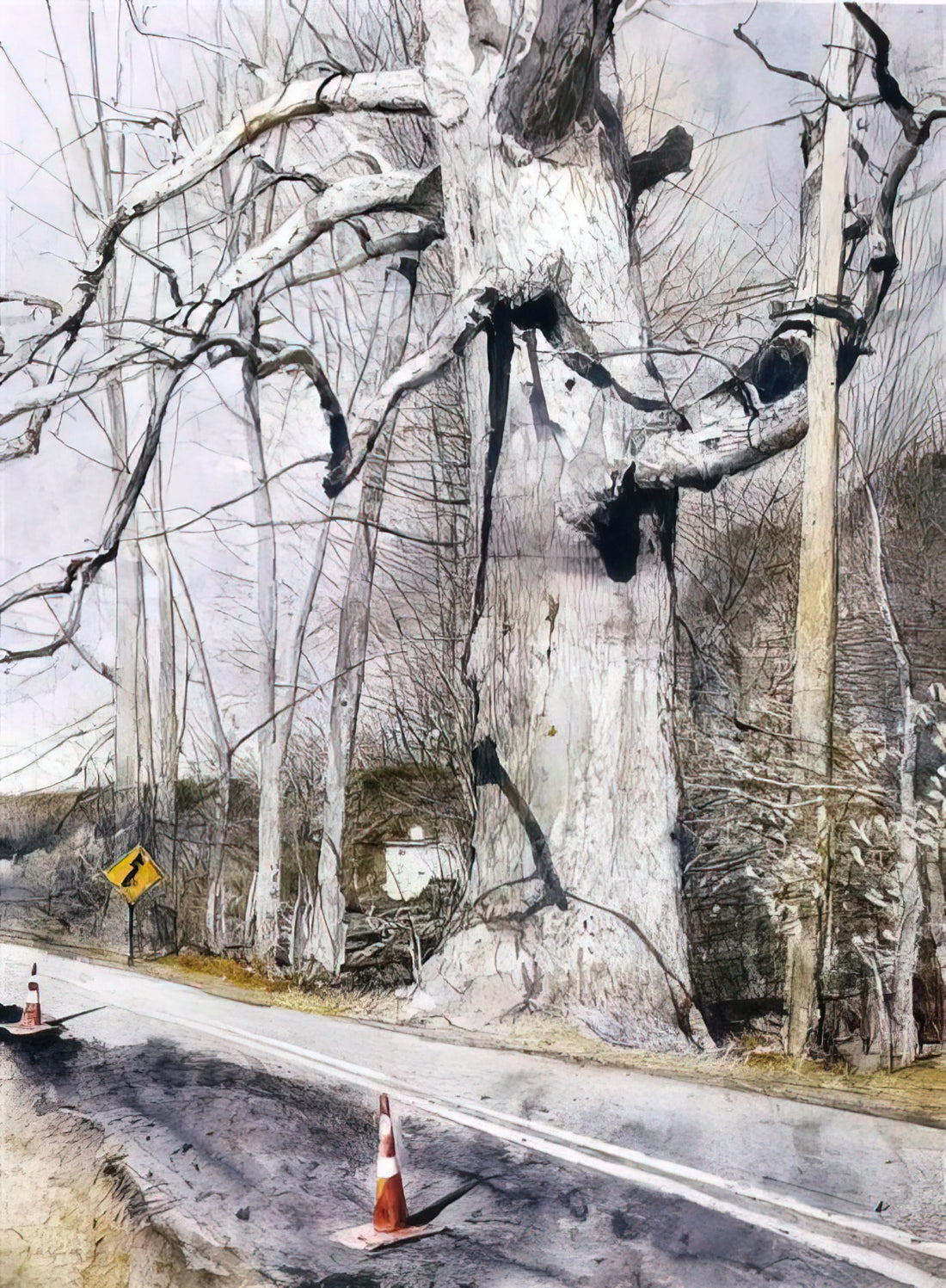 Understanding Andrew Wyeth Price: A Collector's Guide to Value, Prints & Market Insights - WALKING STICK by Andrew Wyeth