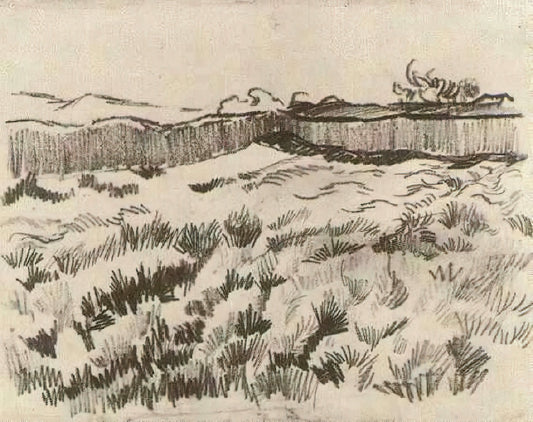 Van Gogh Complete Works: A Journey Through the Tormented Genius of Modern Art - Enclosed Field by Vincent van Gogh