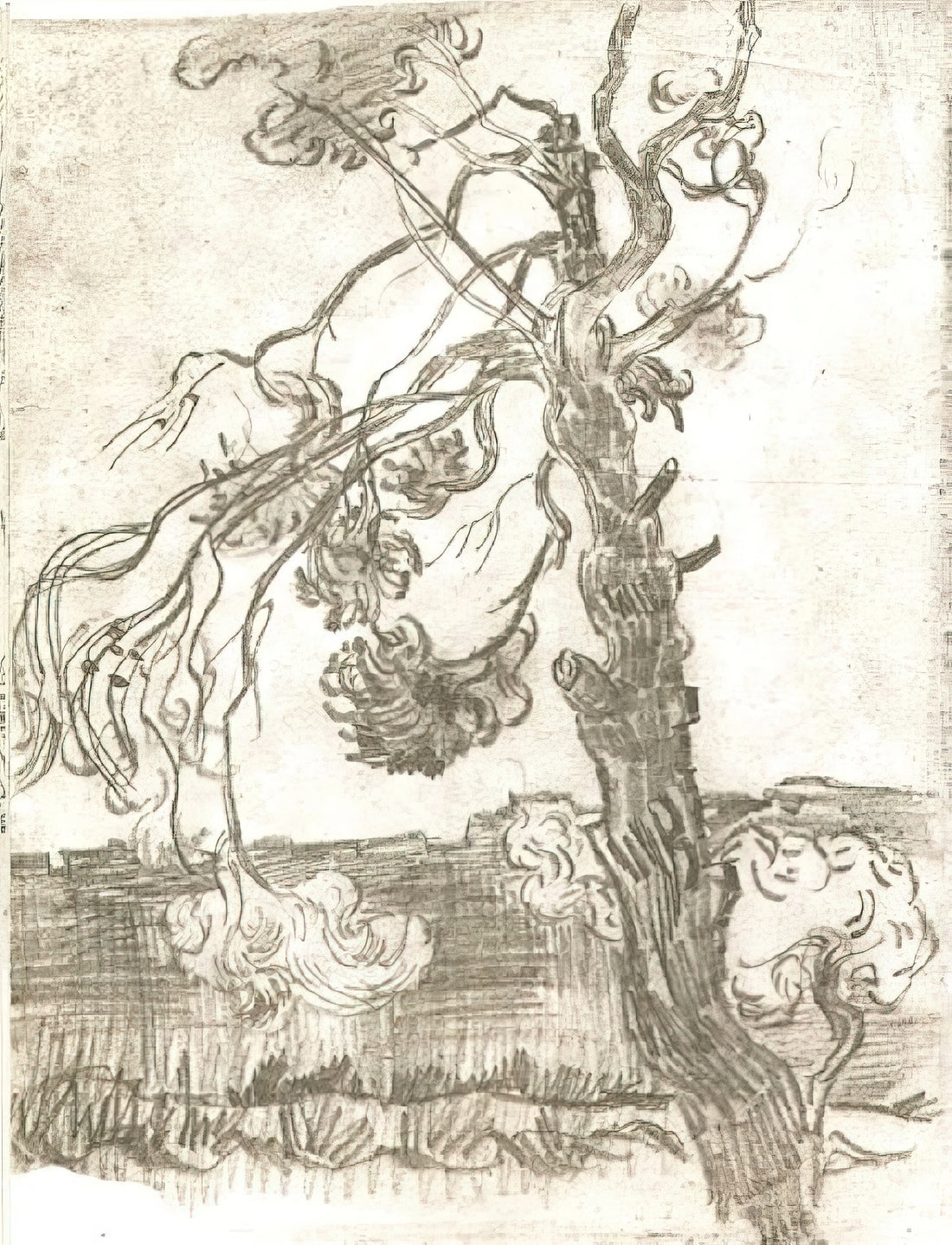 Van Gogh Fields: The Artist's Vision of Nature and Emotion in Landscape Art - A Weather-Beaten Pine Tree by Vincent van Gogh