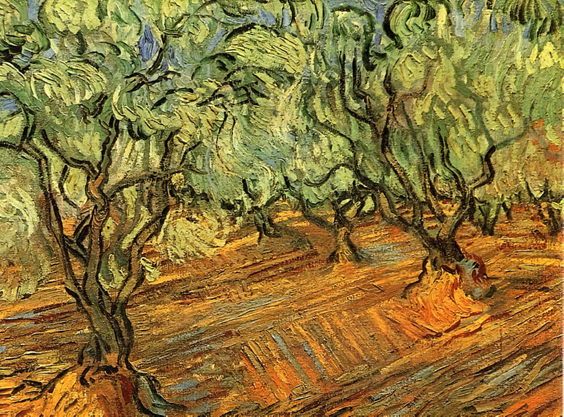 Van Gogh Framed Canvas: A Curator's Guide to Museum-Quality Art Prints - Olive Grove - Bright Blue Sky by Vincent van Gogh