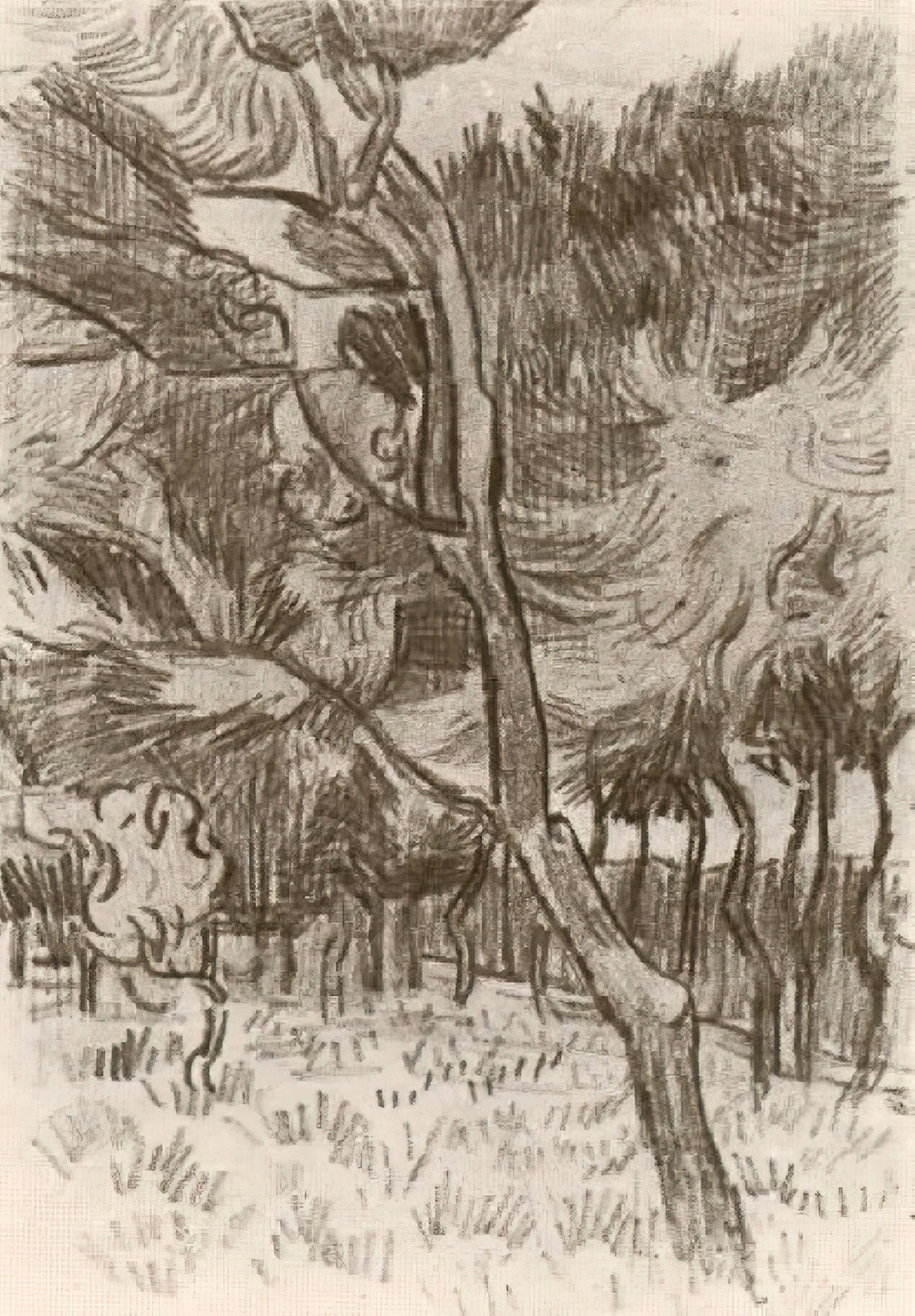 Van Gogh Posters for Sale: A Curator's Guide to Authentic Art Prints - Pine Trees in the Garden of the Asylum by Vincent van Gogh