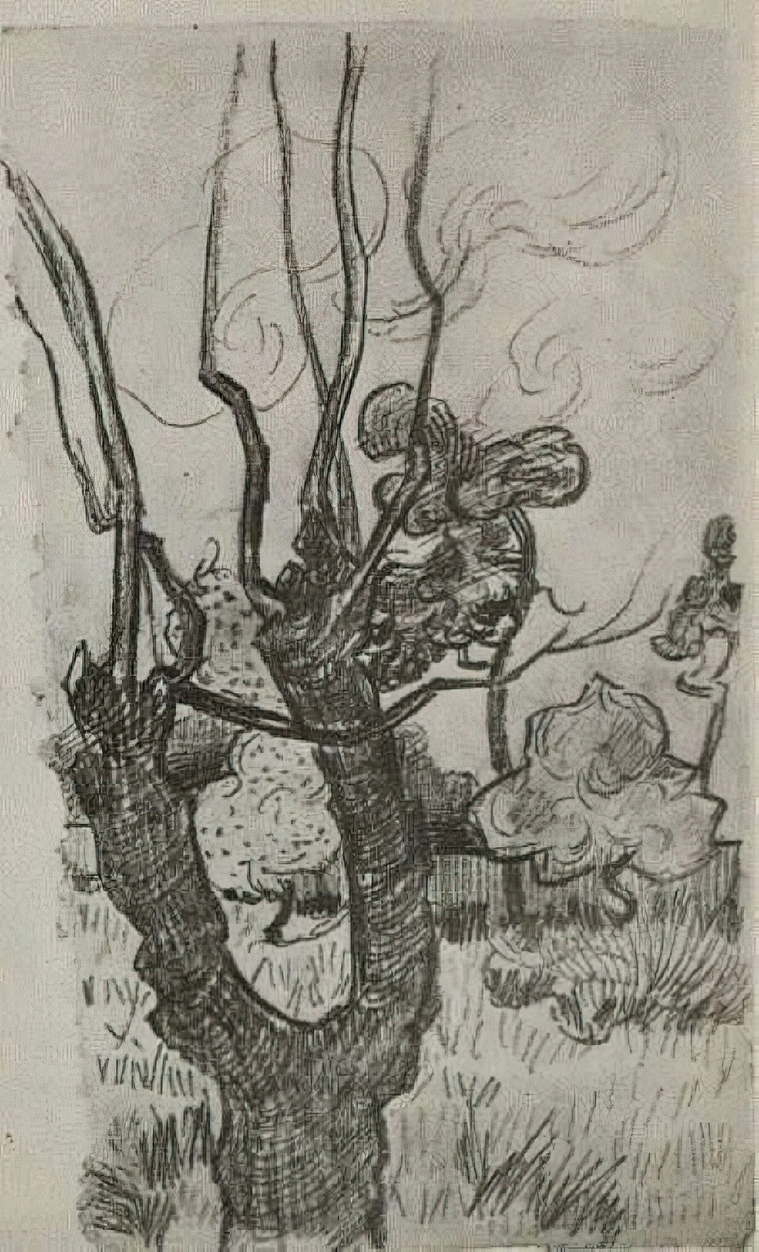 Van Gogh Water Paintings: The Overlooked Mastery of His Aqueous Works - A Bare Treetop in the Garden of the Asylum by Vincent van Gogh
