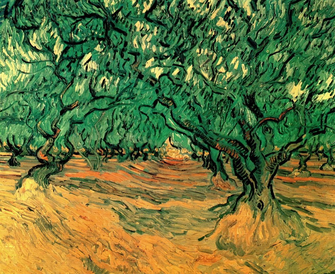 Van Gogh's Starry Night at the Louvre: A Masterpiece's Journey and Legacy - Olive Trees by Vincent van Gogh