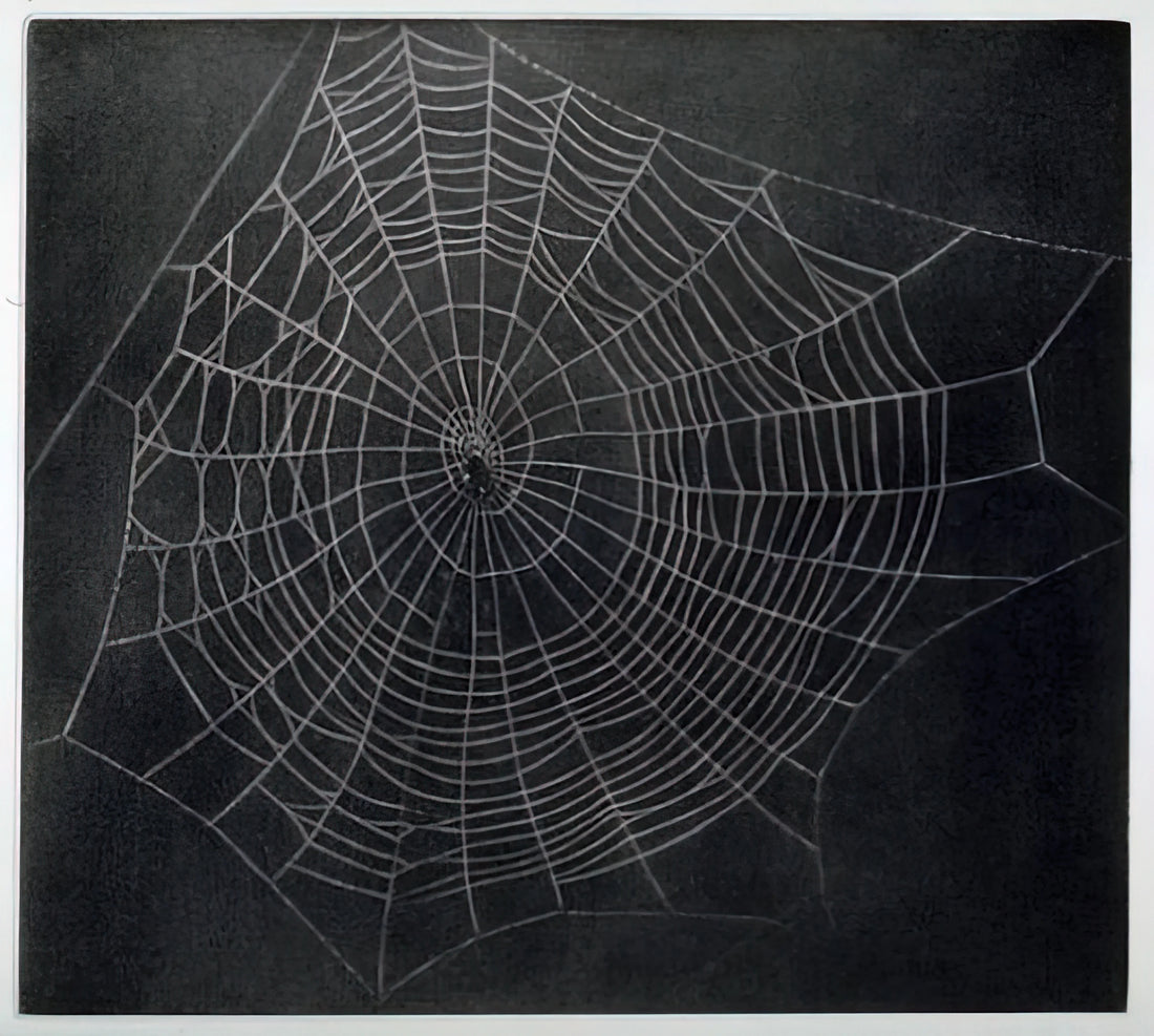 Vija Celmins Ocean Poster: A Deep Dive into Her Photorealistic Seascapes - UNTITLED SPIDER WEB 2000 by Vija Celmins