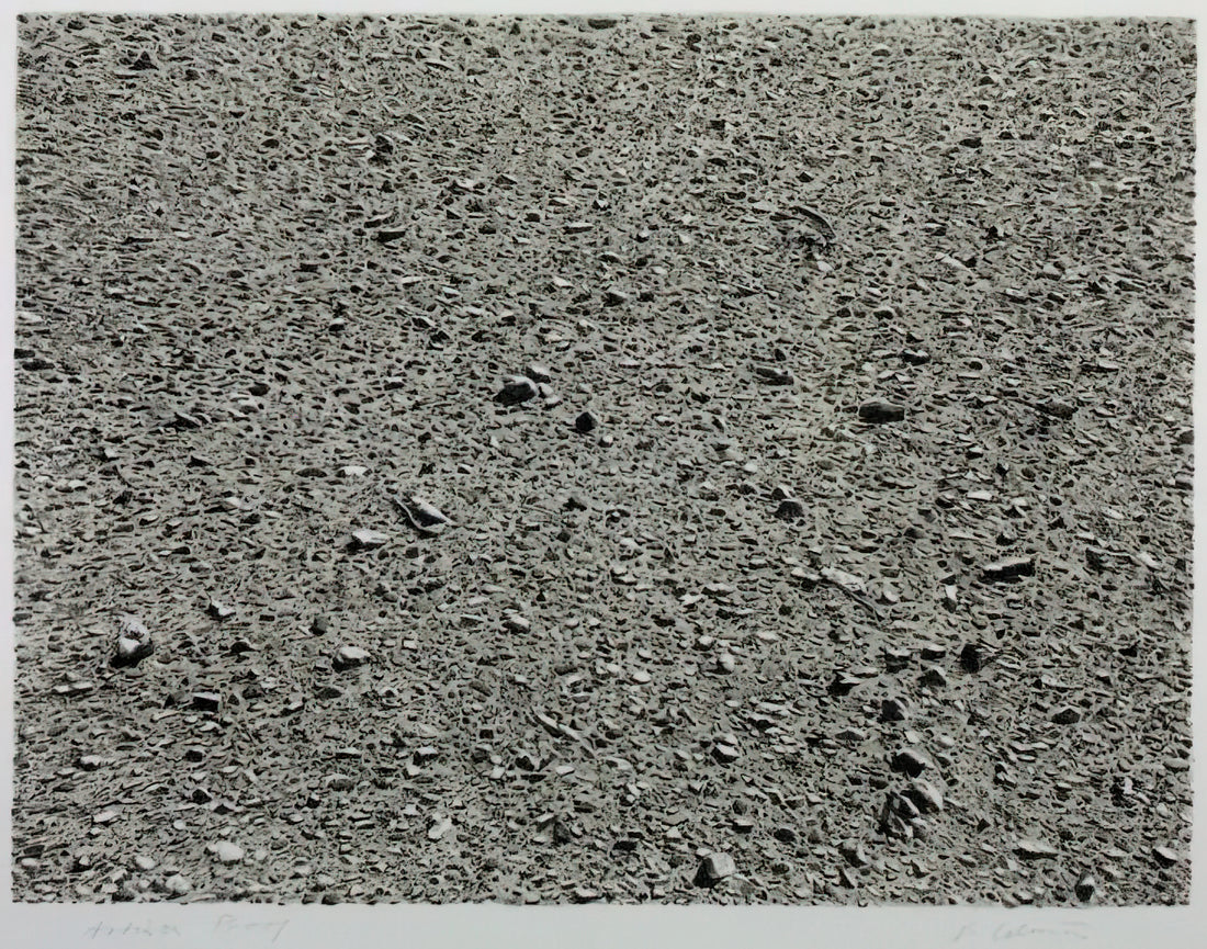 Vija Celmins Ocean Print: The Hypnotic Precision of Nature's Patterns - DESERT 1975 by Vija Celmins