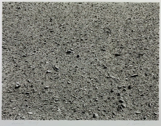 Vija Celmins Posters: The Allure of Photorealistic Precision in Art Prints - DESERT 1975 by Vija Celmins