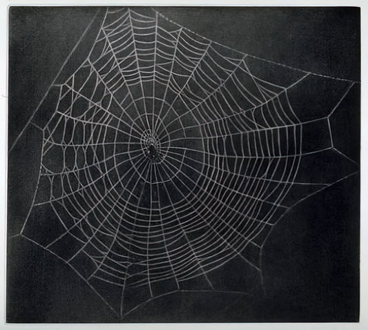 Vija Celmins at Tate: A Deep Dive into the Artist's Photorealistic Universe - UNTITLED SPIDER WEB 2000 by Vija Celmins