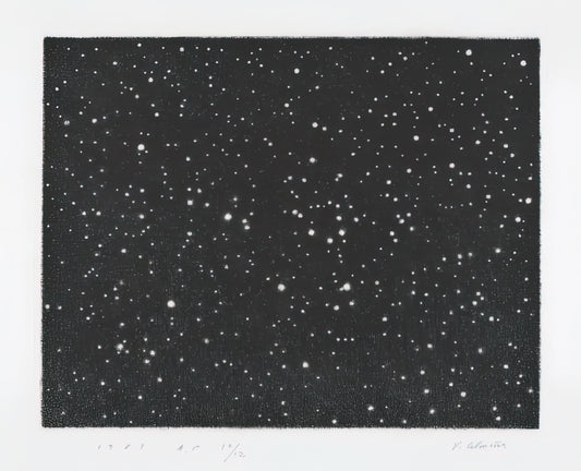 Vija Celmins: To Fix the Image in Memory - MOUNT HOLYOKE 1987 by Vija Celmins