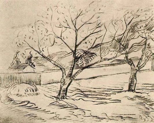 Vincent van Gogh Posters: A Curator's Guide to Collecting Museum-Quality Prints - Two Trees by Vincent van Gogh