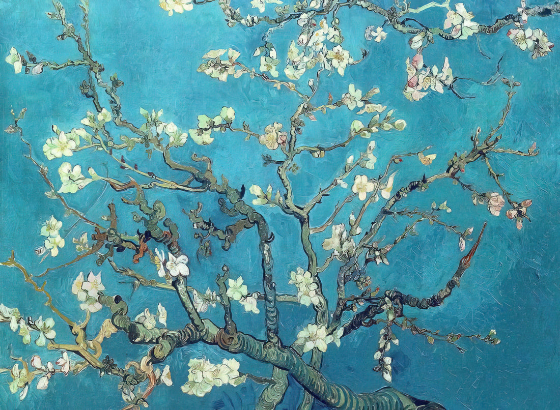 Vincent van Gogh Starry Night Print: An Expert Guide to Owning the Iconic Masterpiece - Branches with Almond Blossom by Vincent van Gogh