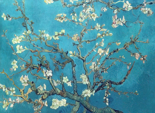 Vincent van Gogh Starry Night Print: An Expert Guide to Owning the Iconic Masterpiece - Branches with Almond Blossom by Vincent van Gogh