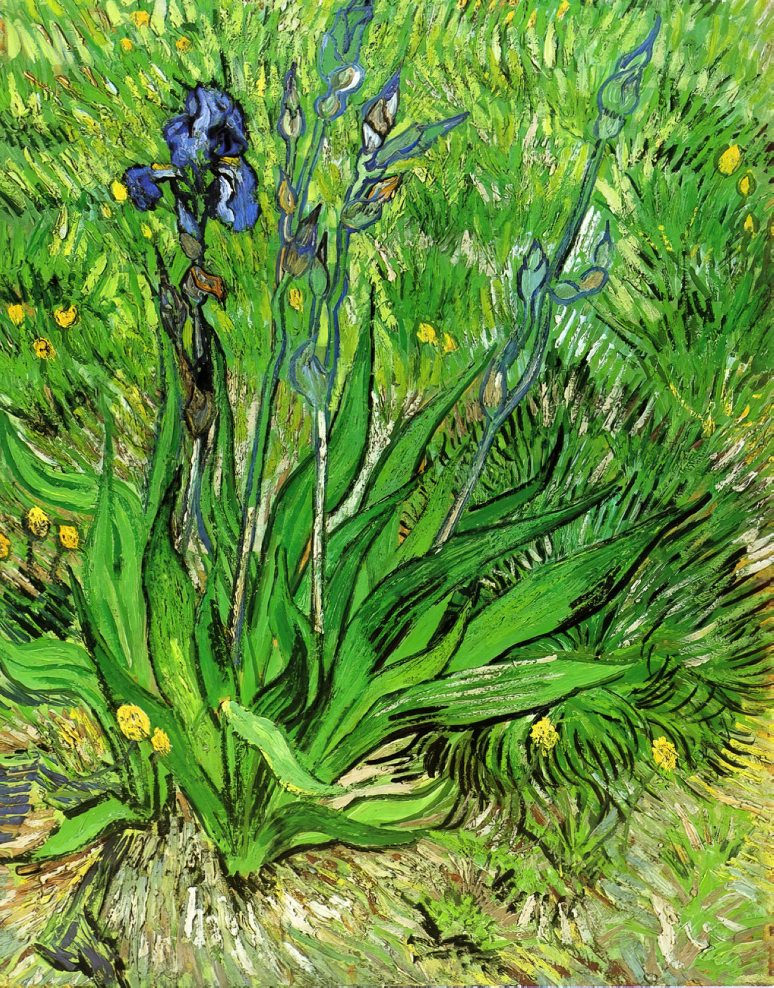 Vincent van Gogh: The Tormented Genius Who Transformed Modern Art - The Iris by Vincent van Gogh