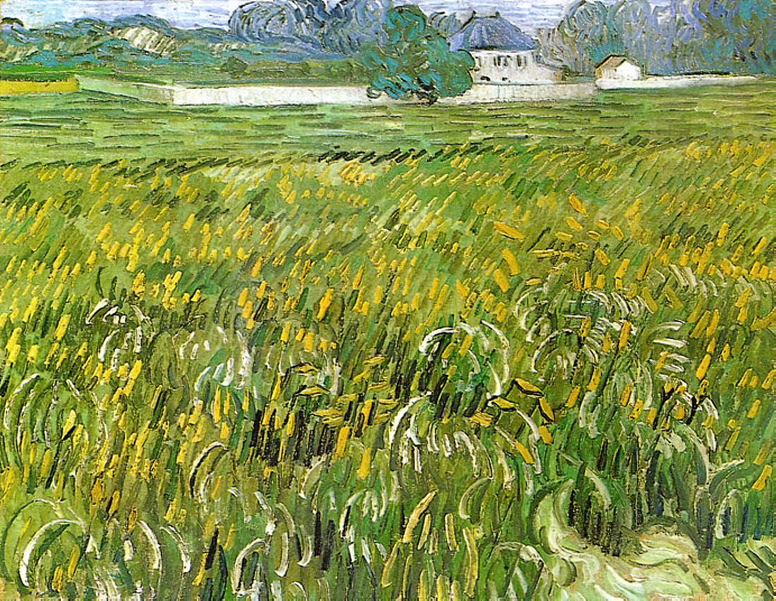 Vincent van Gogh: The Tormented Genius Whose Art Transformed Modern Painting - Wheat Field at Auvers with White House by Vincent van Gogh