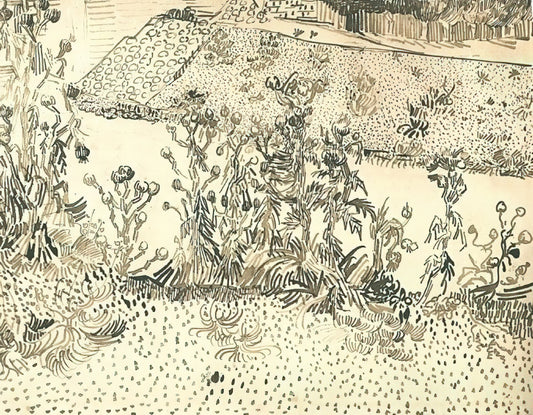 Vincent van Gogh's Poppy Field: A Masterpiece of Color and Emotion - Thistles Along the Roadside by Vincent van Gogh