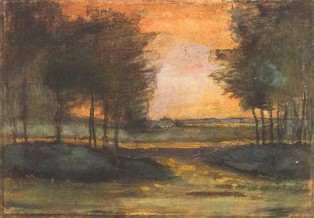 Vincent van Gogh's Starry Night: A Masterpiece of Turbulent Beauty and Artistic Genius - The Landscape in Drenthe by Vincent van Gogh