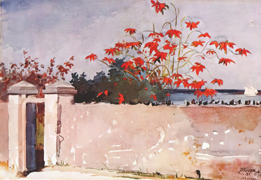 Winslow Homer Watercolor Prints: A Collector's Guide to American Masterpieces - A WALL NASSAU by Winslow Homer